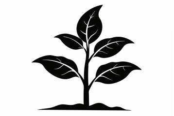 rose silhouette vector illustration