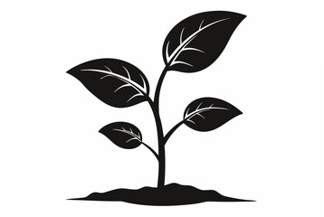 rose silhouette vector illustration