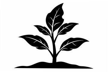 rose silhouette vector illustration