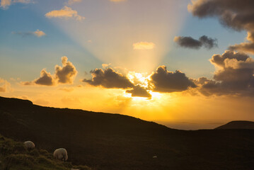 A stunning sunset lights up the sky with golden rays and fluffy clouds, creating a picturesque scene