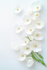 Fototapeta premium Scattered bouquet of tulips for a vibrant spring celebration in a bright setting