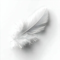 White feather floats, studio shot, minimal background, peace concept