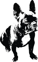 French Bulldog stencil; single color vector illustration.