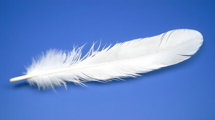 Obraz premium White feather floats, blue background, serenity