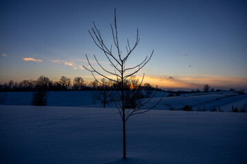 sunset in the snow