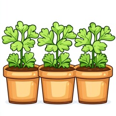 Three Potted Celery Plants: A Vibrant Display of Green, Fresh Herbs in Terracotta Pots. Perfect for homegrown herb gardens, adding a touch of nature to your kitchen.