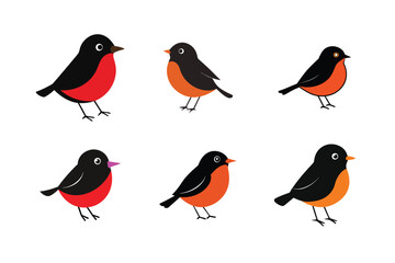 Set of  Robin Bird Vector Illustrations High Quality Graphics for Nature and Wildlife Projects