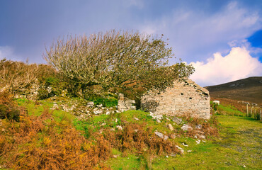 The Irish West Coast in Donegal Ireland - A charming stone cottage amid vibrant greenery and...