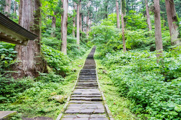 山形の出羽三山の羽黒山 五重塔
