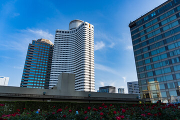 Obraz premium 東京のホテルニューオータニのローズガーデン 