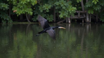 A majestic Anhinga soars overhead, its sleek feathers glistening as it dives into the calm waters below, wings spread wide in effortless flight