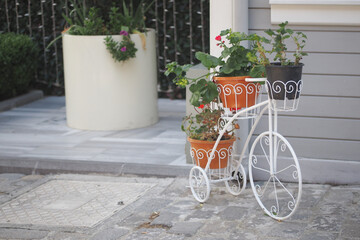 A Beautiful and Decorative Bicycle Planter Featuring Lovely Flower Pots