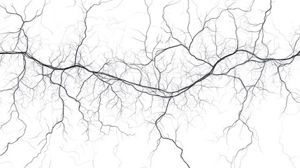 Abstract image of branching, vein-like network on white background.