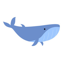 blue whale illustration 
