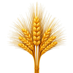 Fototapeta premium wheat ears isolated on white,Wheat Ears Isolated on White Background - Perfect for Agriculture, Harvest, and Nature-Inspired Visuals