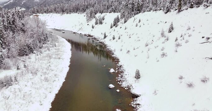 Snow-Covered Forest Aerial Drone Glacier National Park Winter