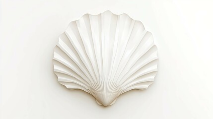 Serene White Shell Wall Sculpture: Minimalist Coastal Art
