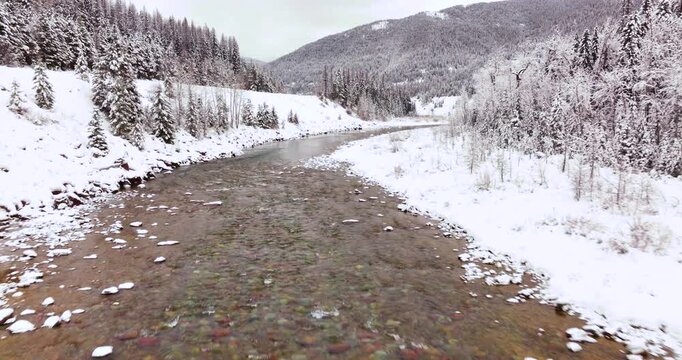 Aerial Drone Captures Snow-Covered Forest Glacier National Park