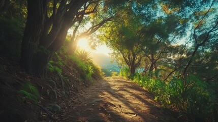 Obraz premium Scenic Nature Walk Along Mountain Trail at Golden Hour