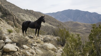 A wild mustang standing tall on rocky terrain, framed by mountains.