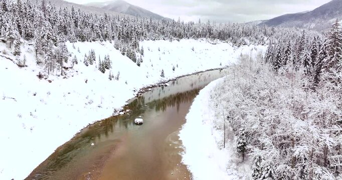 Snowy Winter Forest Flyover Aerial Drone Glacier National Park