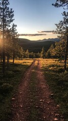 Fototapeta premium Sunset Forest Path Nature Trail Hiking Woodland Scenic View Summer Golden Hour Adve