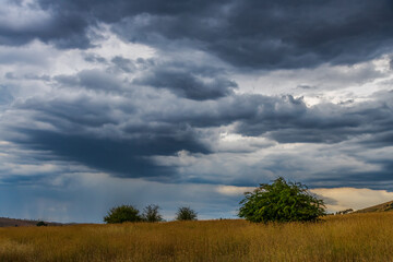 Obraz premium Late afternoon Summer storm