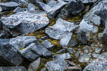 Rocks and moss growing on an island just offshore of the Antarctic peninsula. 
