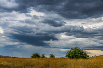 Late afternoon Summer storm