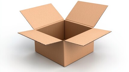 Open Cardboard Box Isolated on White Background