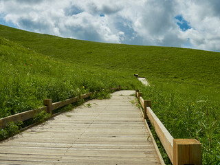 Obraz premium Wooden boardwalk winding uphill through a vibrant green meadow under a partly cloudy sky.