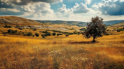 Fototapeta premium Golden Meadow Landscape: Serene Countryside View