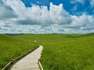 Wooden walkway through a vibrant green field leading to rolling hills under a bright blue sky.