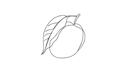 illustration of an mango  