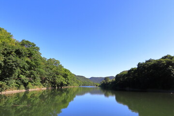 夏の青空と水辺の木々