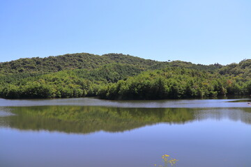 夏の青空と水辺の木々