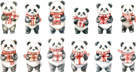 cute panda with gift for valentine watercolor clipart