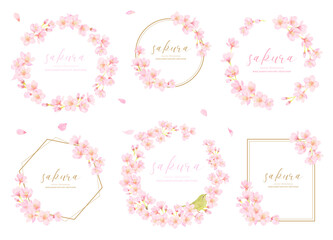 美しい桜の花のベクターイラストフレーム素材