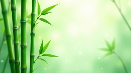 Serene Bamboo Grove Lush Green Stalks and Vibrant Foliage in Soft Light