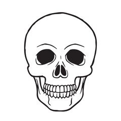 Fototapeta premium The skull icon. Black silhouette of a human skull. Vector illustration isolated on a white background for design and web.