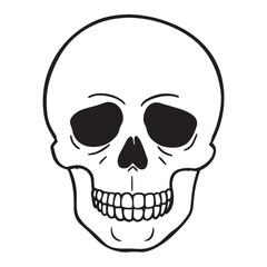 Fototapeta premium The skull icon. Black silhouette of a human skull. Vector illustration isolated on a white background for design and web.