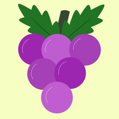 Illustration of purple grapes fruit with leaves. The Vitaceae, Vitis vinifera, Viticulture are a family of flowering plants and botanically a berry.