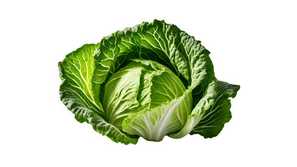 Obraz premium cabbage isolated on transparent background