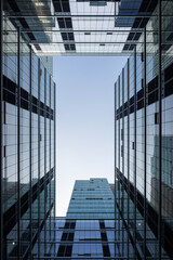 빌딩 숲 사이에서 하늘을 보다