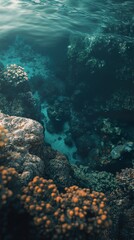 Fototapeta premium Vibrant Underwater Coral Reef Scene