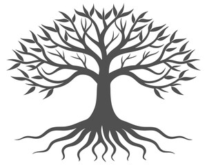 A solitary tree with visible roots set against a clean white background, emphasizing its natural structure and form.