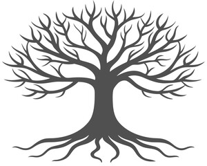 A solitary tree with visible roots set against a clean white background, emphasizing its natural structure and form.