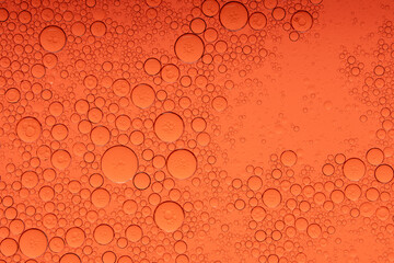 Macro Microscope red bubble texture close-up blood liquid, red macro bubbles Backgrounds red water drops on glass, Abstract Backgrounds, 