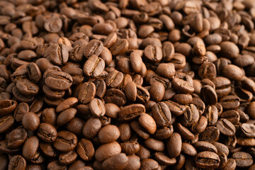 Coffee bean for drink in morning, nature food.