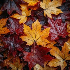 A close-up of vibrant autumn leaves in shades of red and yellow, showcasing the beauty of fall foliage.
